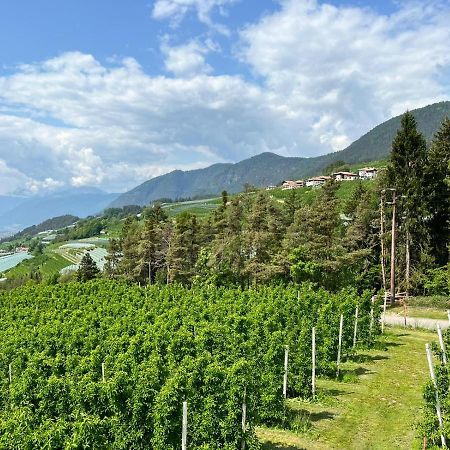 Agritur Maso Forcola Villa Brez Buitenkant foto