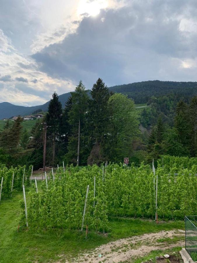 Agritur Maso Forcola Villa Brez Buitenkant foto