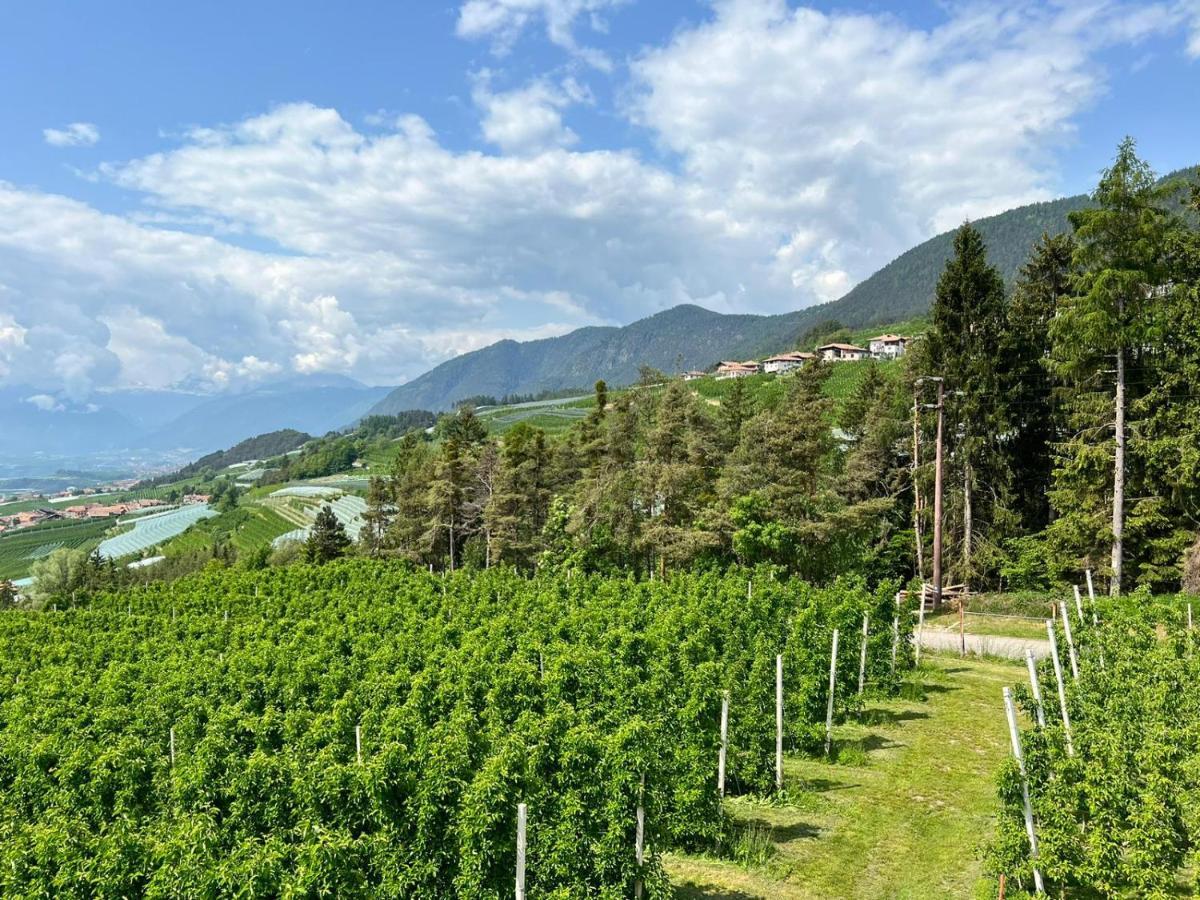 Agritur Maso Forcola Villa Brez Buitenkant foto