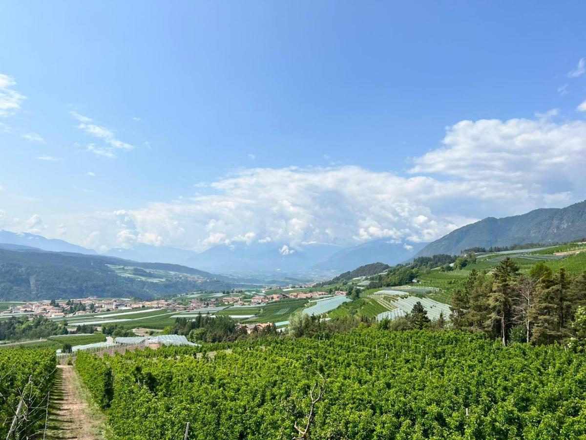Agritur Maso Forcola Villa Brez Buitenkant foto