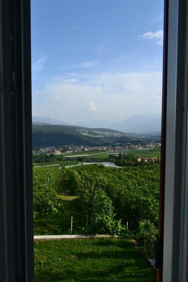 Agritur Maso Forcola Villa Brez Buitenkant foto